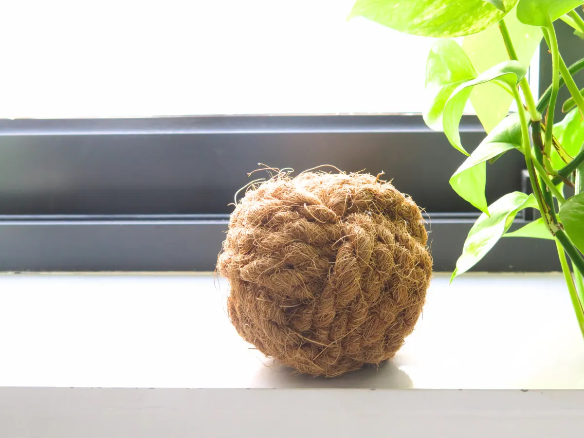 A coco coir ball toy