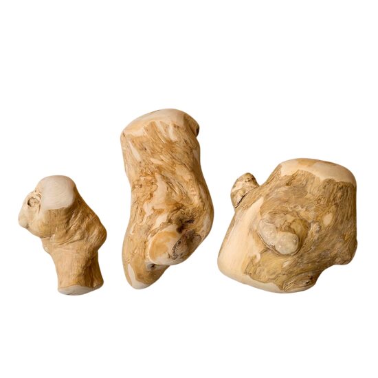 Gorilla coffee wood chews in three sizes