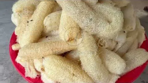 Video: From Loofah to Pet Toy! Amazing Eco Pet Toy Manufacturing Process