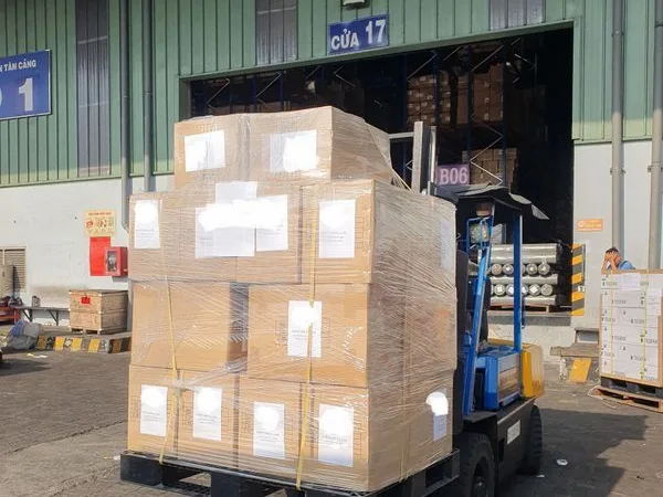 Palletised WINVN INT cartons loaded into an export container